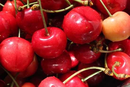 Summer Journal: Homegrown Cherries